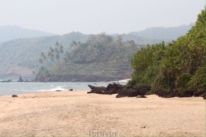 Cola Beach, Goa, India