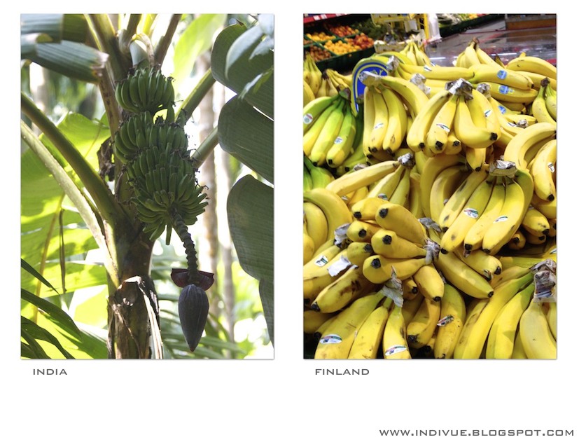 Bananas in India and in Finland