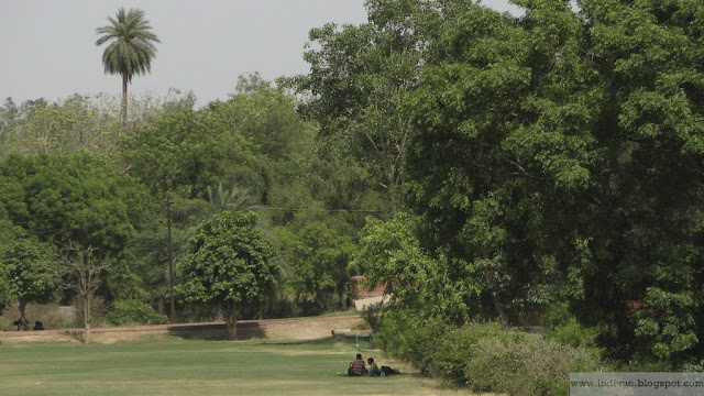 Green Delhi