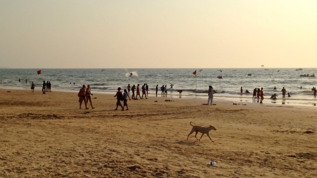 Video of Baga Beach in, Goa, India