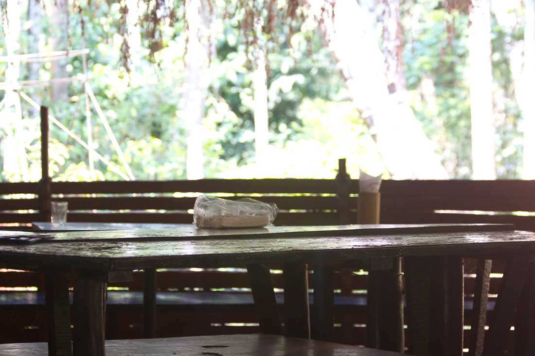 Sahakari SpiceFarm restaurant under the palm trees in South Goa, India