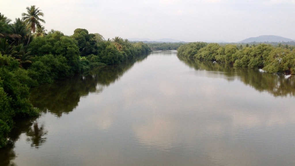 Peaceful river flow in South Goa (video&nbsp;preview)