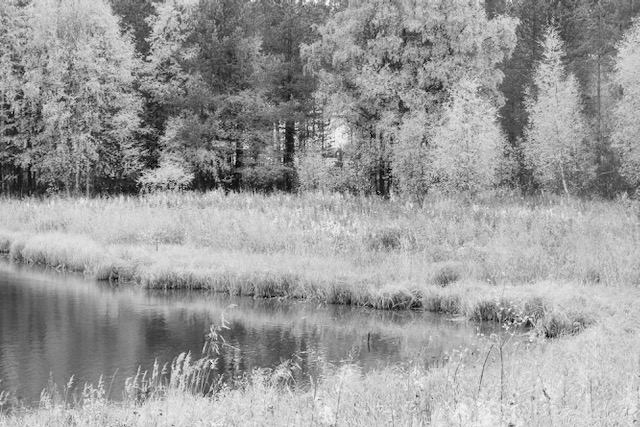 Typical autumn scenery in Kuusamo, North Finland
