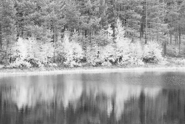 Reflection of autumn colors on water