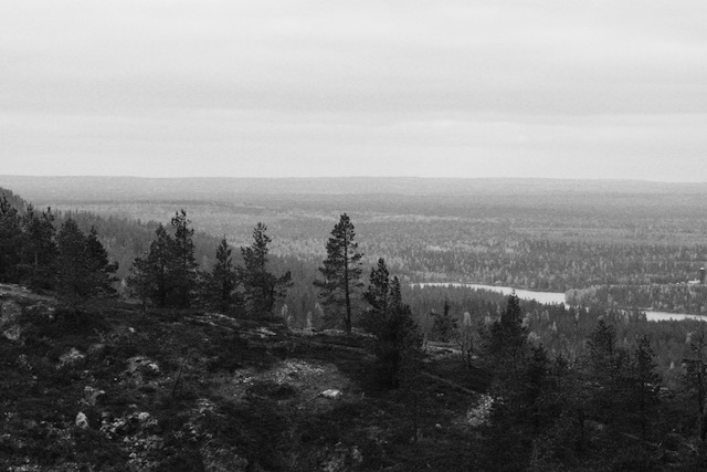 Ruka fell with trees