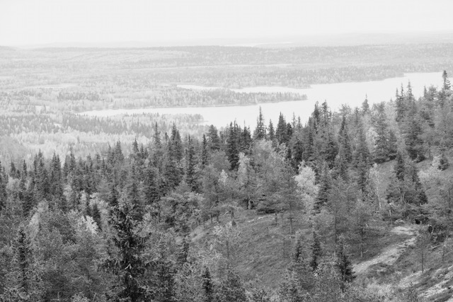 Autumn, Kuusamo, forest and a lake
