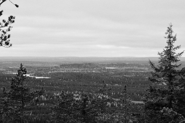 North Finland autumn scenery with trees