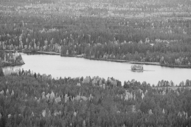 Kuusamo lake and autumn forest