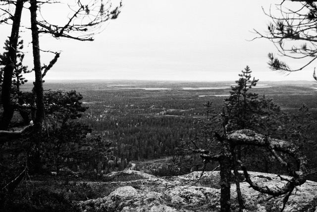 View from Ruka fell with trees