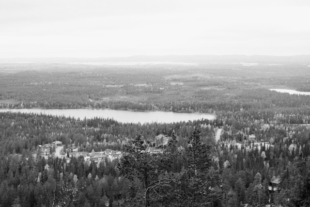 Autumn shades in Kuusamo forests