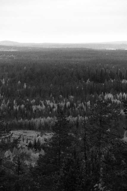 Autumn shades around Ruka fell