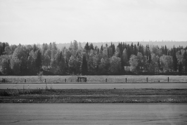 Trees by the Kuusamo airport