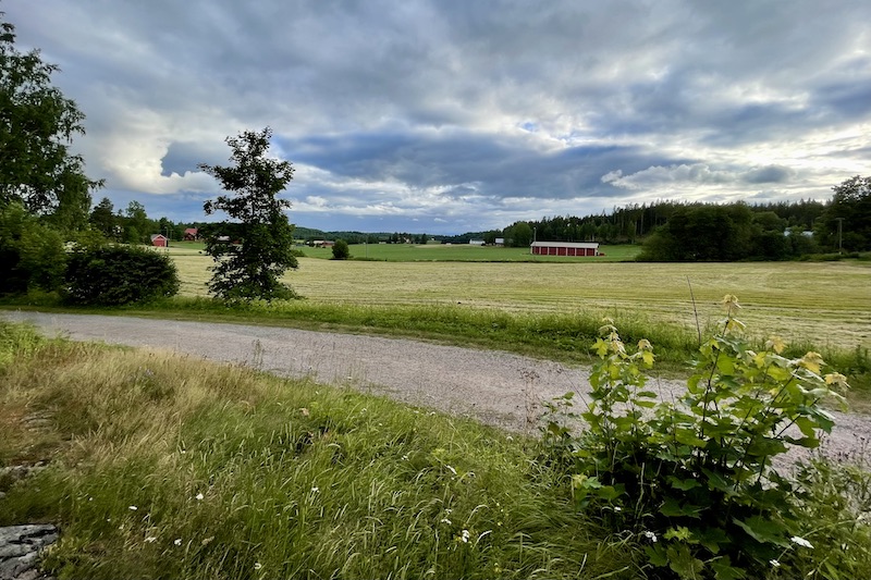 Field in Nurmijärvi