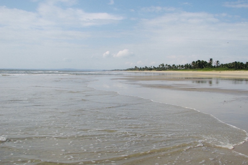 Beach on the West coast of India