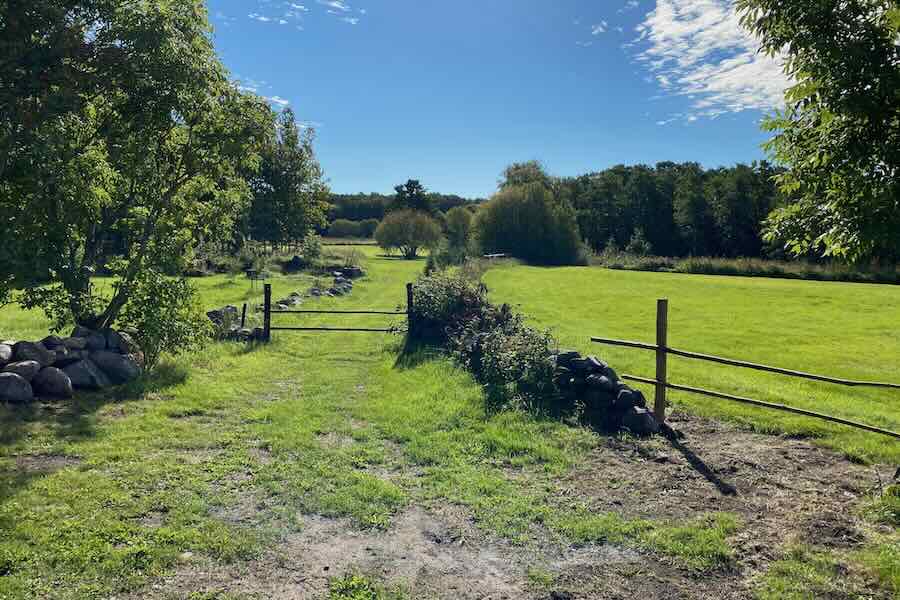 September nature in Prangli island