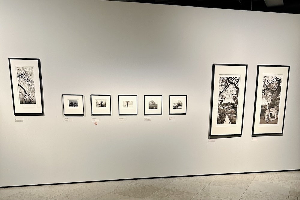 K1 with Pentti Sammallahti photograph exhibition