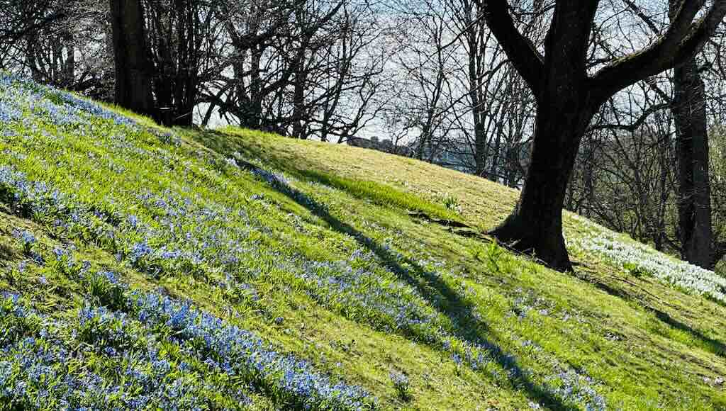 Helsinki spring 2024 and the new Caisa tunnel – INDIVUE – travel & art