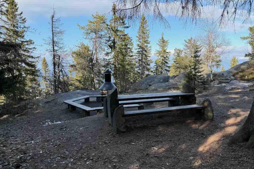 A Forest Campfire Spot in Koli