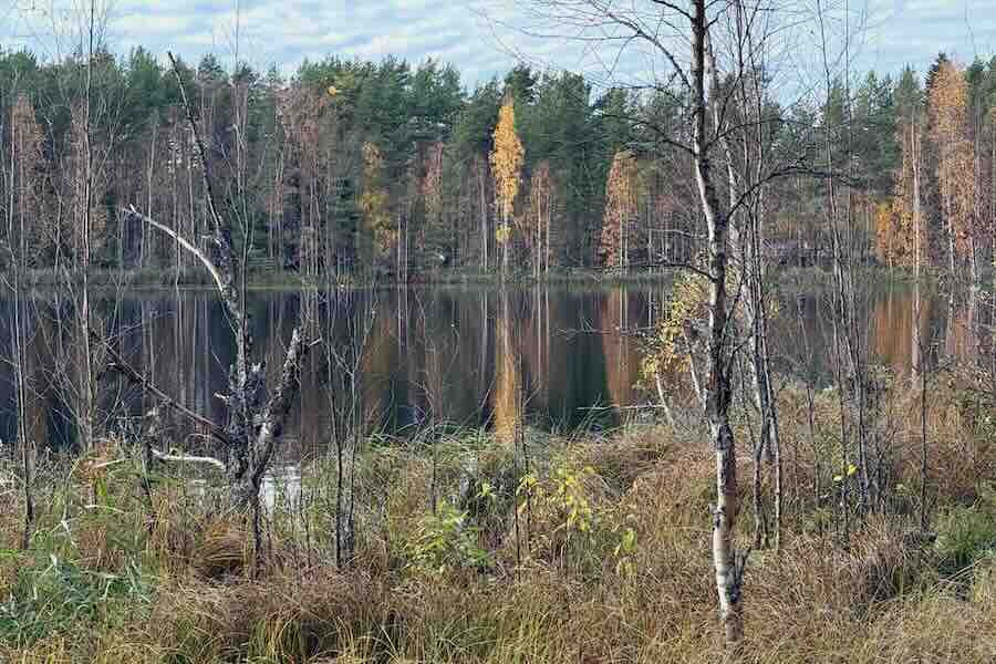 Autumn Colors in October at Ähtäri Zoo, Finland