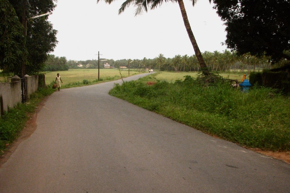 Road in South Goa